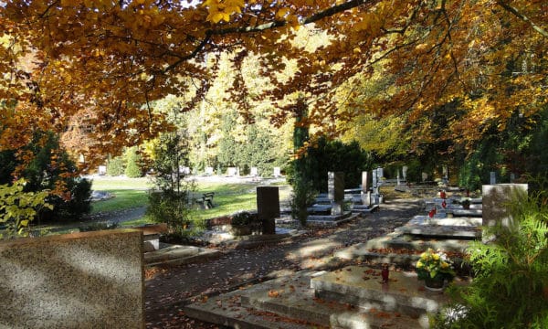 Cmentarz centralny w szczecinie