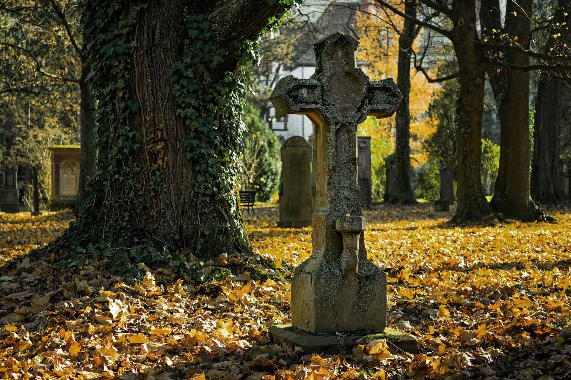 Nagrobek na cmenatrzu jesienią - pogotowie pogrzebowe - zakłady pogrzebowe