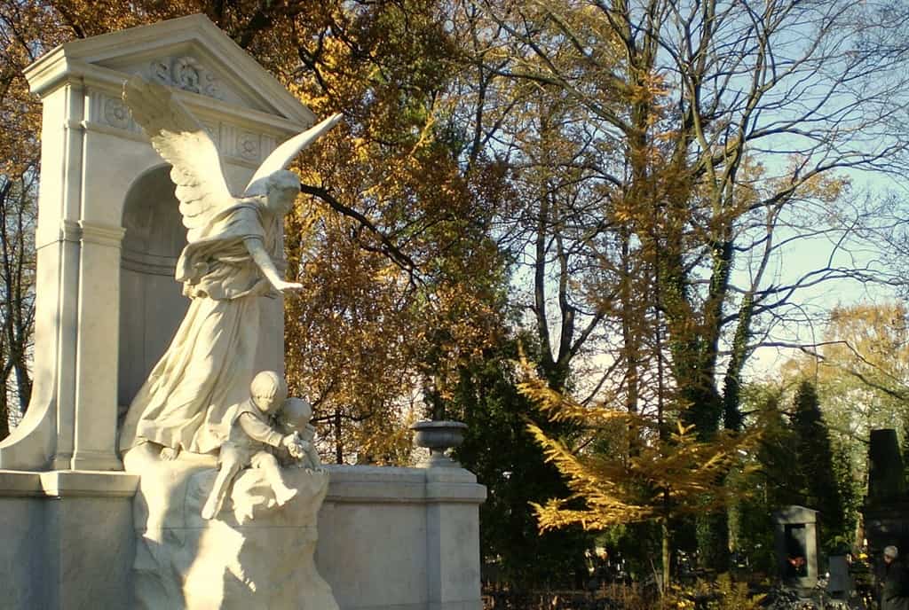 Pomnik Sophie Biedermann Stary Cmentarz w Łodzi