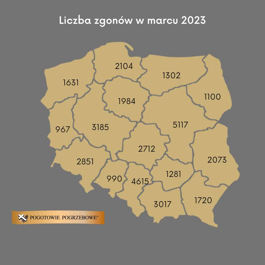 Statystyki zgonów - luty 2023 - mapa 